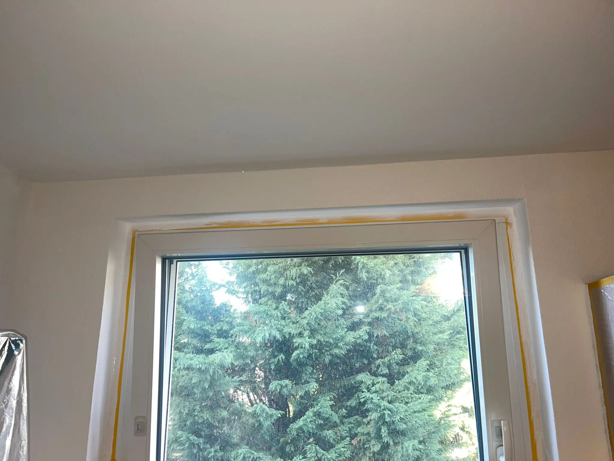 Nachher – Schimmelbeseitigung